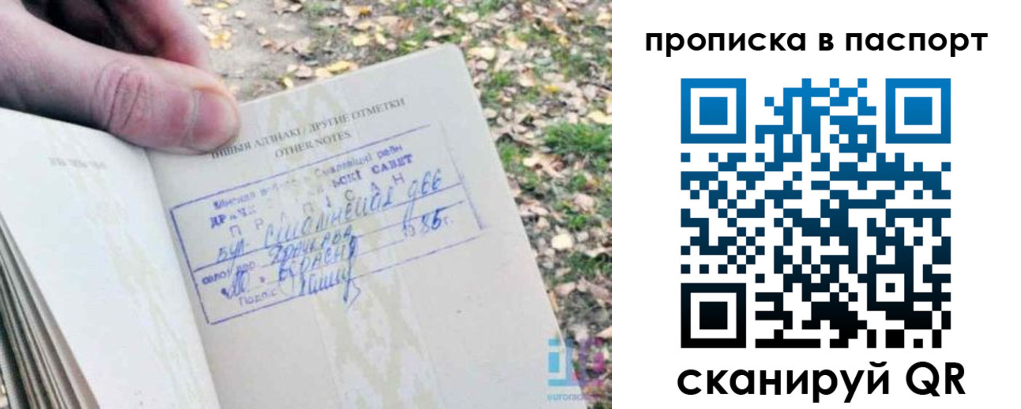 временная регистрация собственник в Реутове